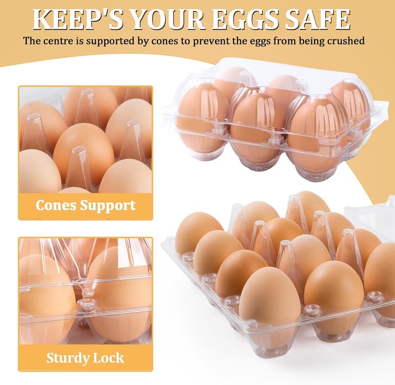 APOCHON 200PCS Clear Plastic Egg Cartons 6 Count,Half Dozen Egg Cartons Cheap Bulk for Chicken Eggs,Reusable Egg Holder for Family,Pasture,Farm Markets Display - Medium Egg Containers 2x3 Grids - Image 4